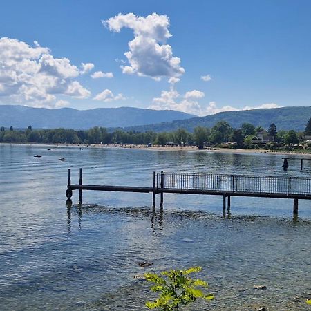 Appartement Tout Confort Montagne Et Lac Leman Thollon-les-Memises ภายนอก รูปภาพ