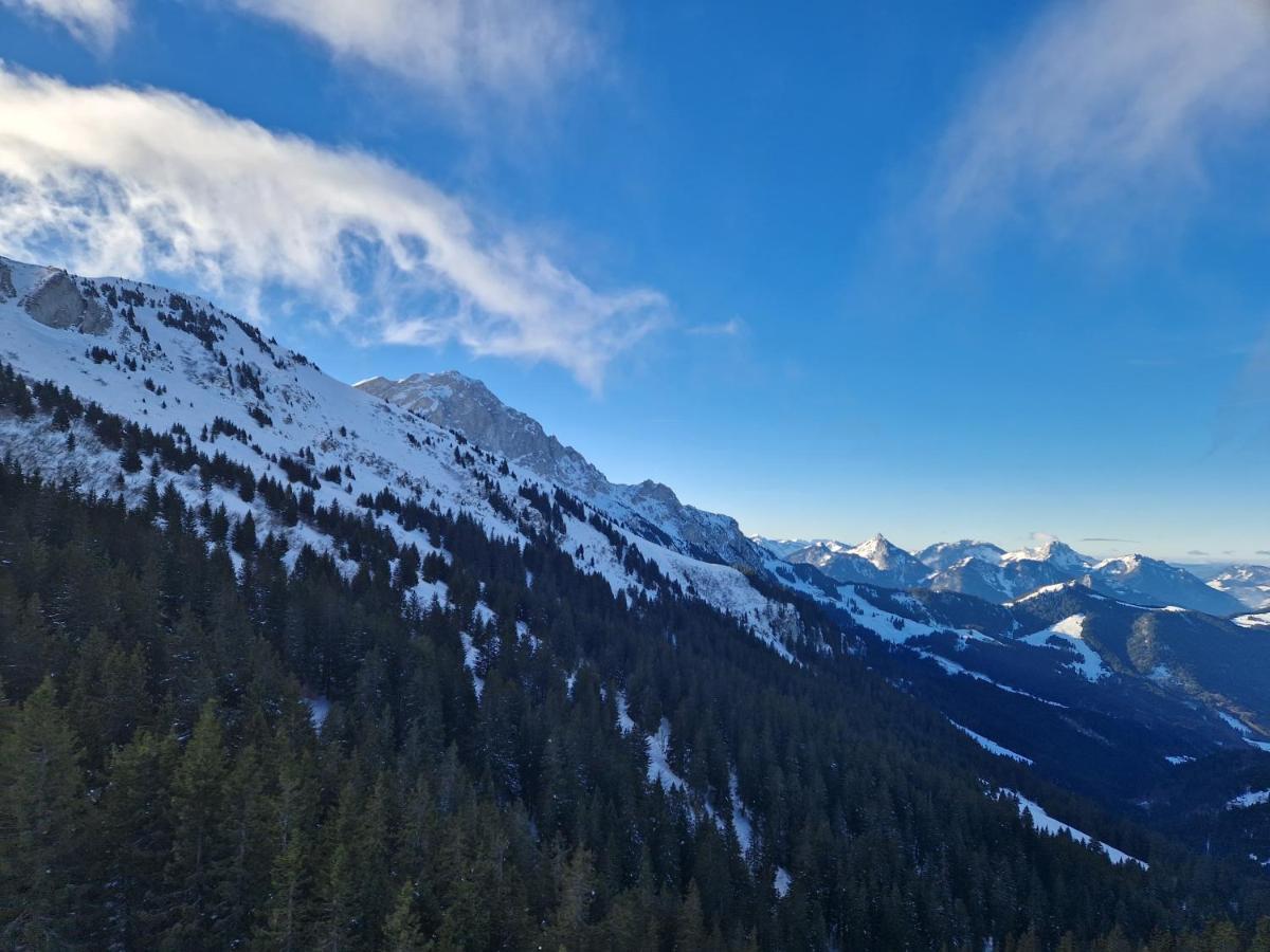 Appartement Tout Confort Montagne Et Lac Leman Thollon-les-Memises ภายนอก รูปภาพ